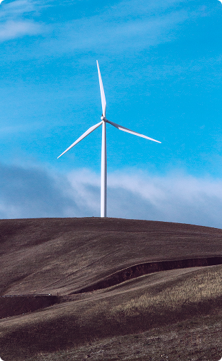 Investment Principles